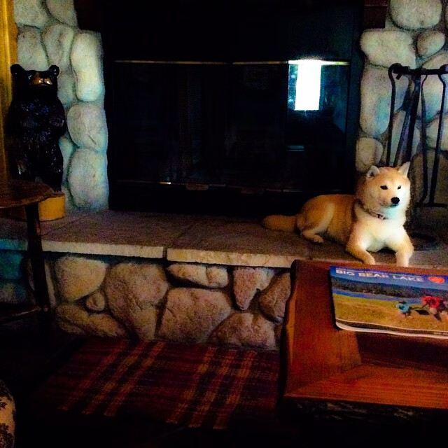 双重奇迹,跨越时空的胜利交响曲