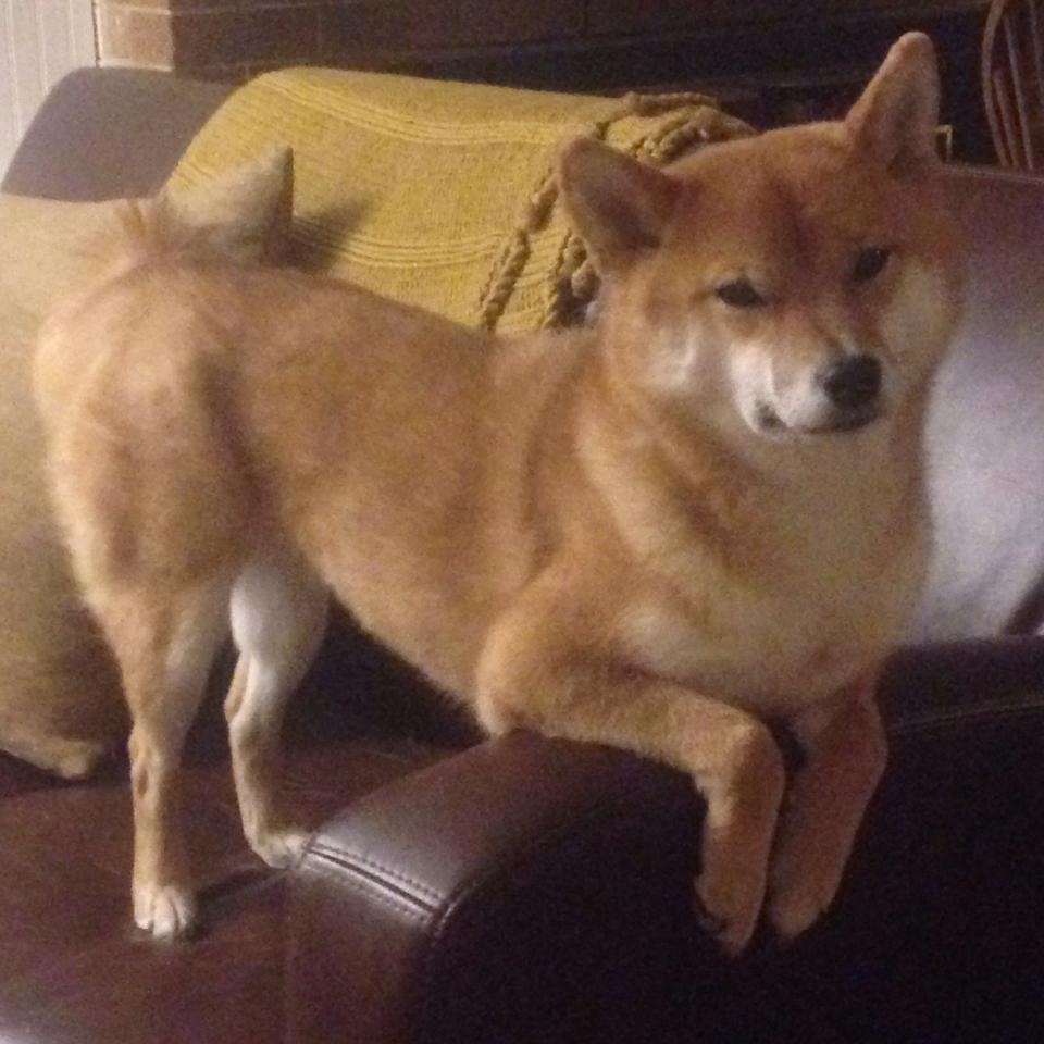 开云体育平台APP-唯一的战场，卡马文加的世界杯与委内瑞拉的胜利