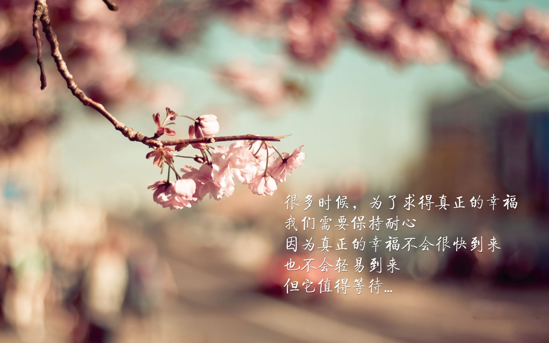 开云体育官网-当那不勒斯的野火遇见韩国的寒铁，帕尔默如何成为矛盾的唯一解