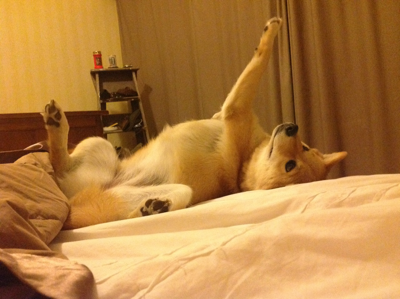 跨界复盘，C罗的技术解剖，如何启示苏格兰防死巴萨