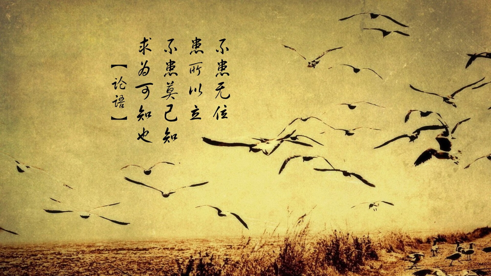 数字王座与钢铁森林，恩比德的70分狂潮与公牛团队绞杀勇士的启示