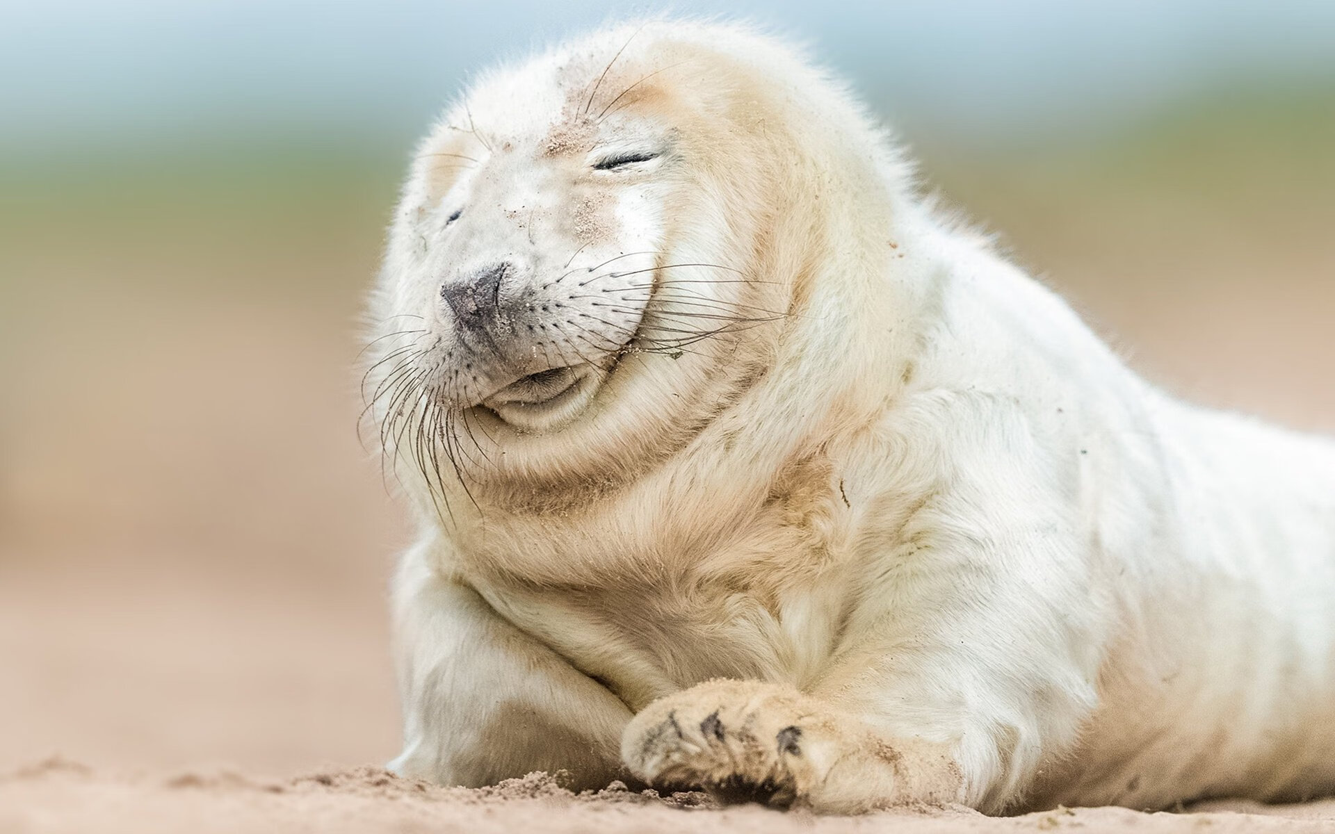 统治的艺术，恩比德接管世界排名之战，如同CBA开拓者压制广厦的战术启示