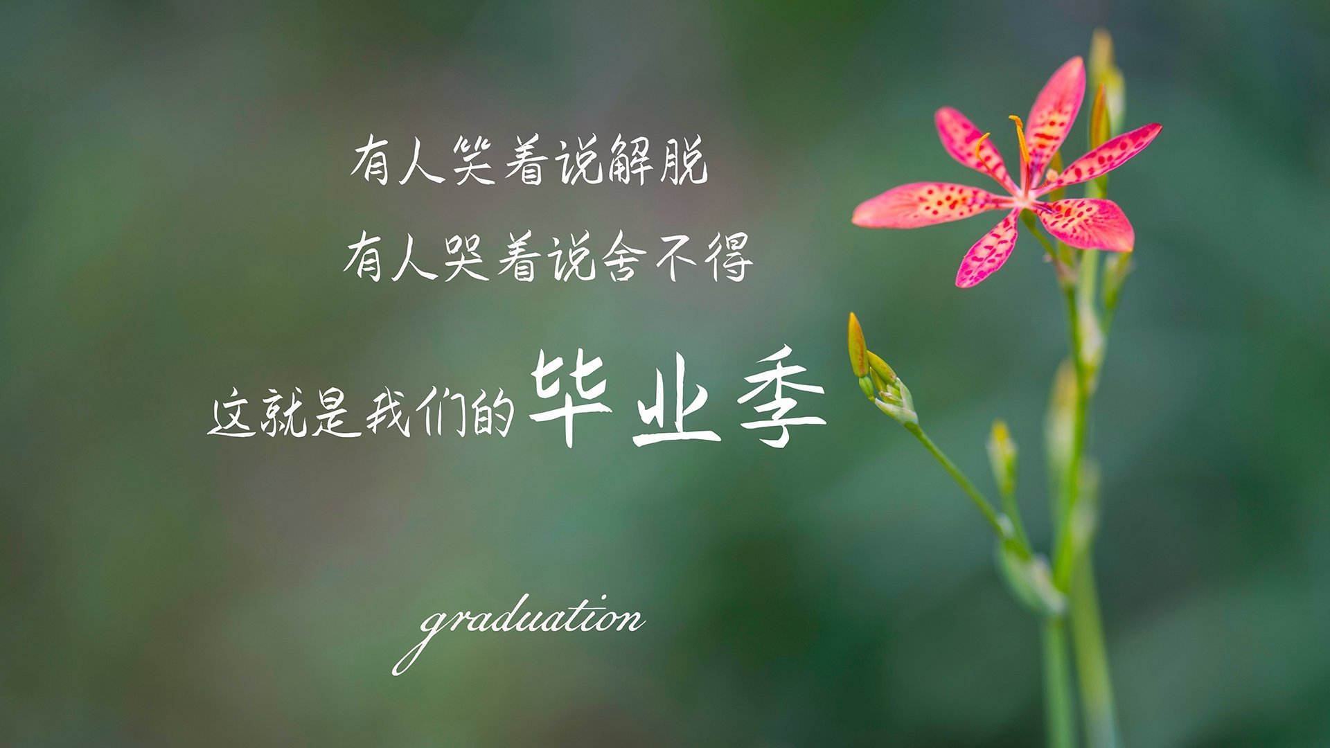 加维手术刀般撕裂,希腊防线筑起特洛伊城墙,一场现代足球的神话演绎