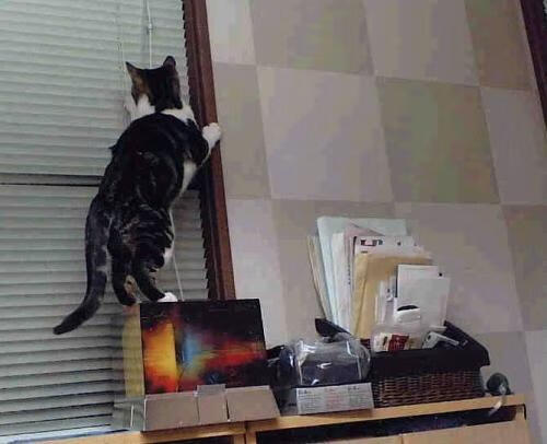 平行宇宙的哨响，当北京队鏖战湖人，伦纳德却在英超决赛戴帽