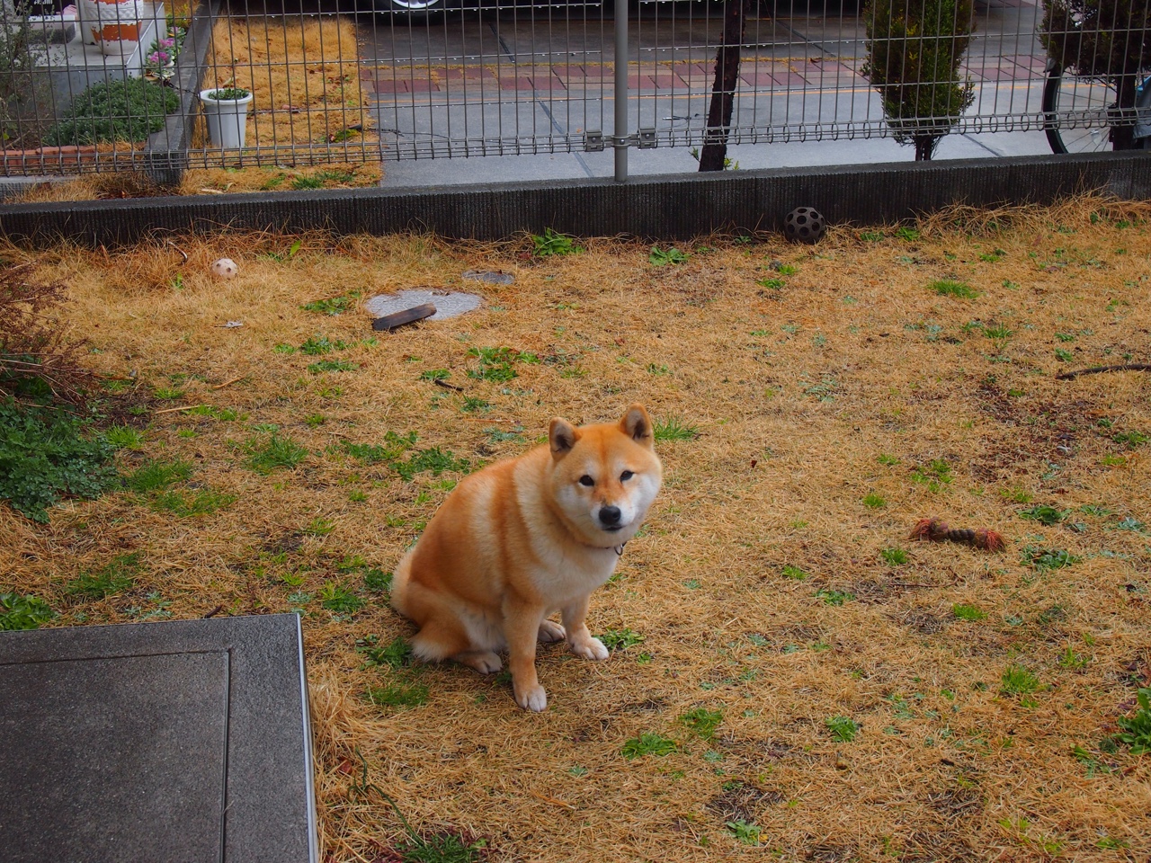 开云体育-极速节律与单节风暴，当F1年度争冠焦点战遇见广东队的单节统治力