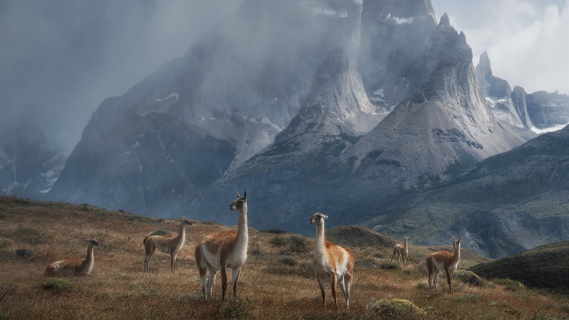 虚构战场上的真实英雄，当乌克兰对阵加纳，加克波化身网络特攻