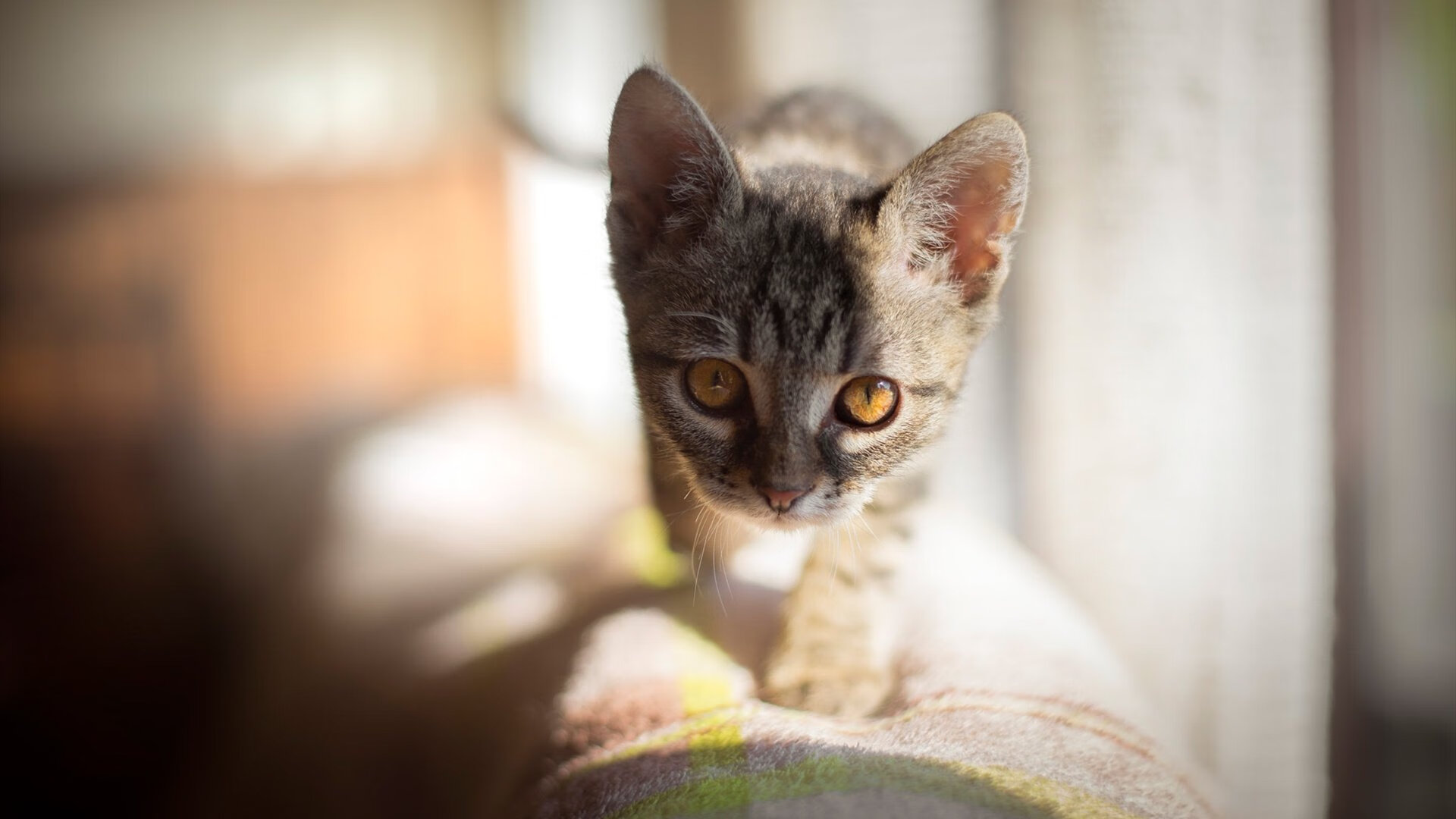 唯一性的绿茵烙印，沙特绝杀美国的奇迹与C罗的永恒杀伤力