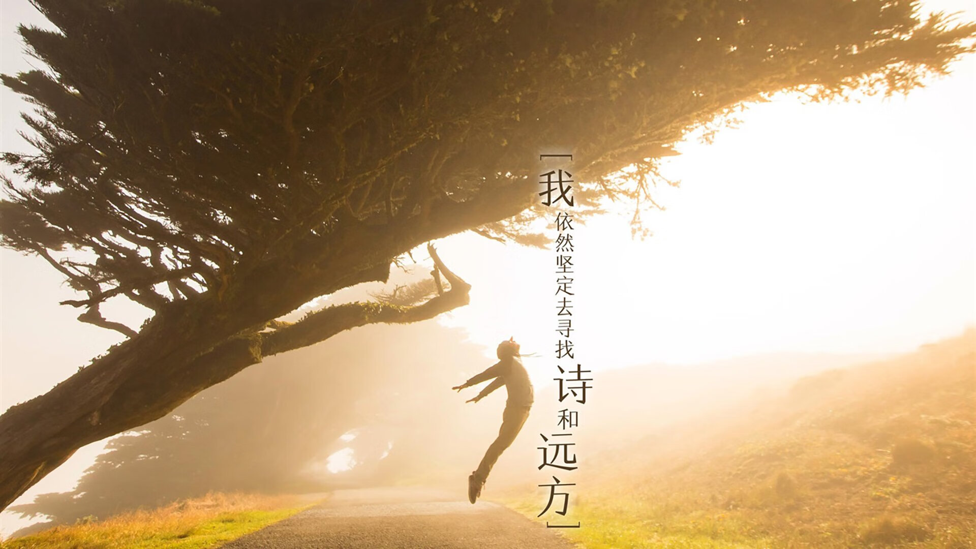 开云体育中国-为你构思的标题