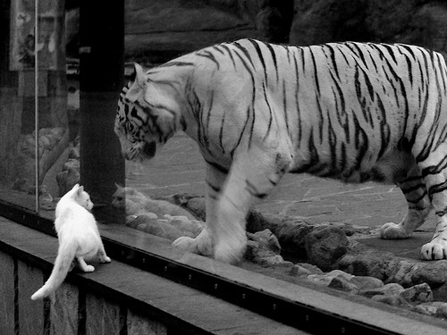 莫兰特，于无声处听惊雷，爵士主场奏响逆转狂想曲