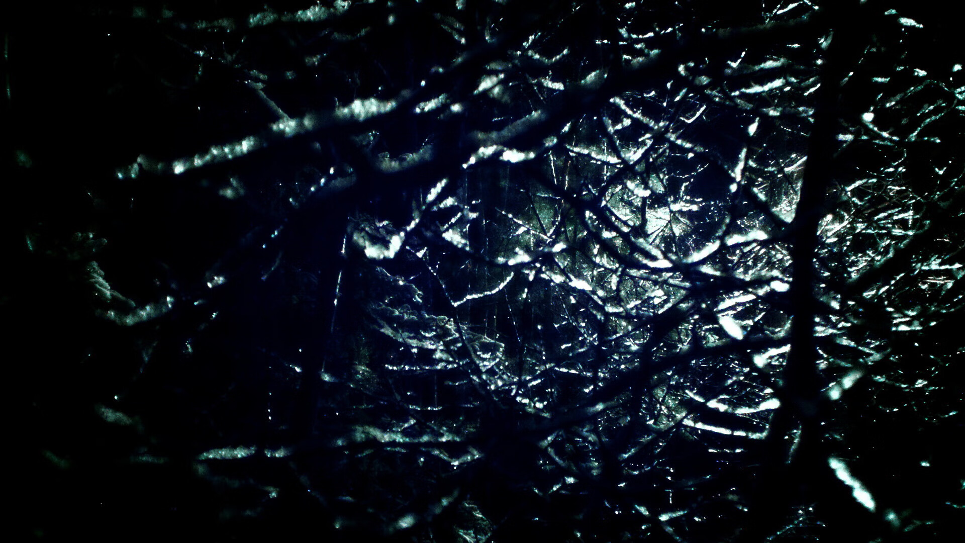 舞台与森林，保罗的指挥官艺术与灰熊的团队围猎