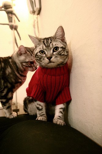 锡安12分死亡时刻主宰比赛，上海队神奇逆转掘金