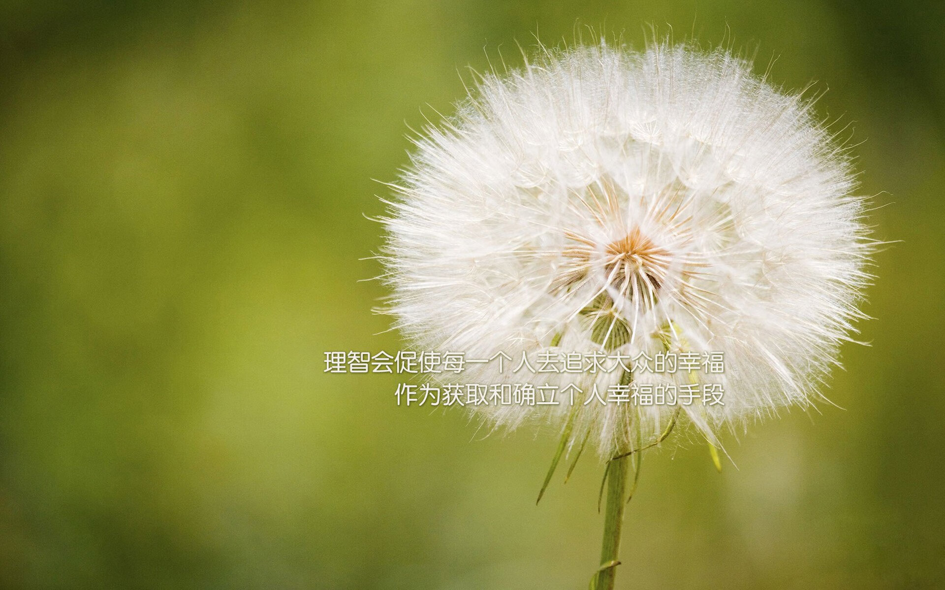 引擎与脚尖，当哈弗茨在F1街道赛之夜完成致命超车