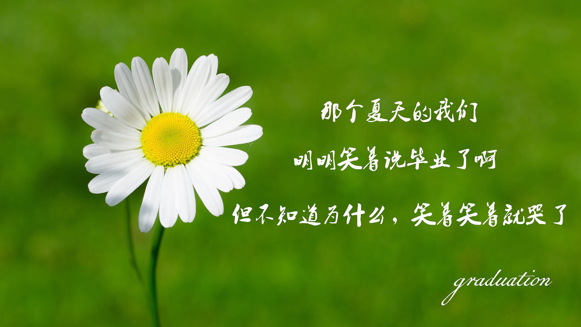 冰与火之歌,骑士铸就铁幕,东契奇用东欧魔法点燃胜利
