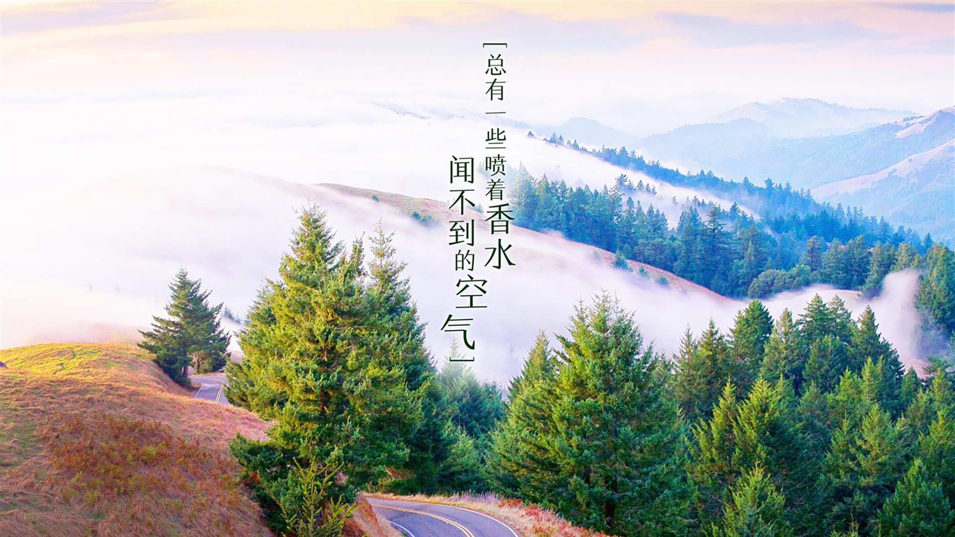 本身就充满了戏剧性的矛盾与张力—同一个D组关键战,如何既澳大利亚完胜葡萄牙,又莫德里奇带队取胜?这正是唯一性的核心所在。让我们抓住这个矛盾,创造一个独一无二的叙事视角