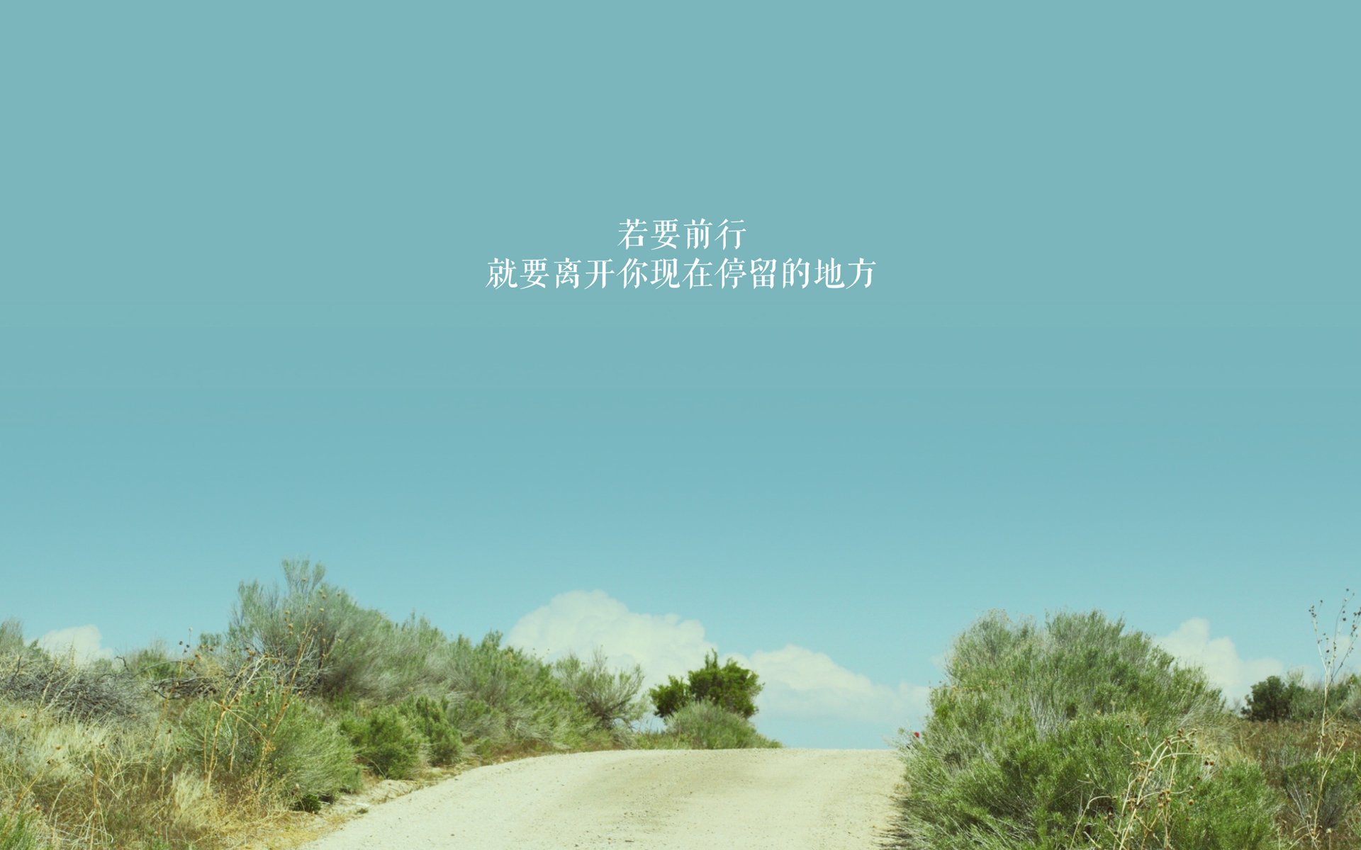 开云体育入口-沙漠风暴的悖论，当控球成为牢笼，突尼斯用被动书写逆转史诗